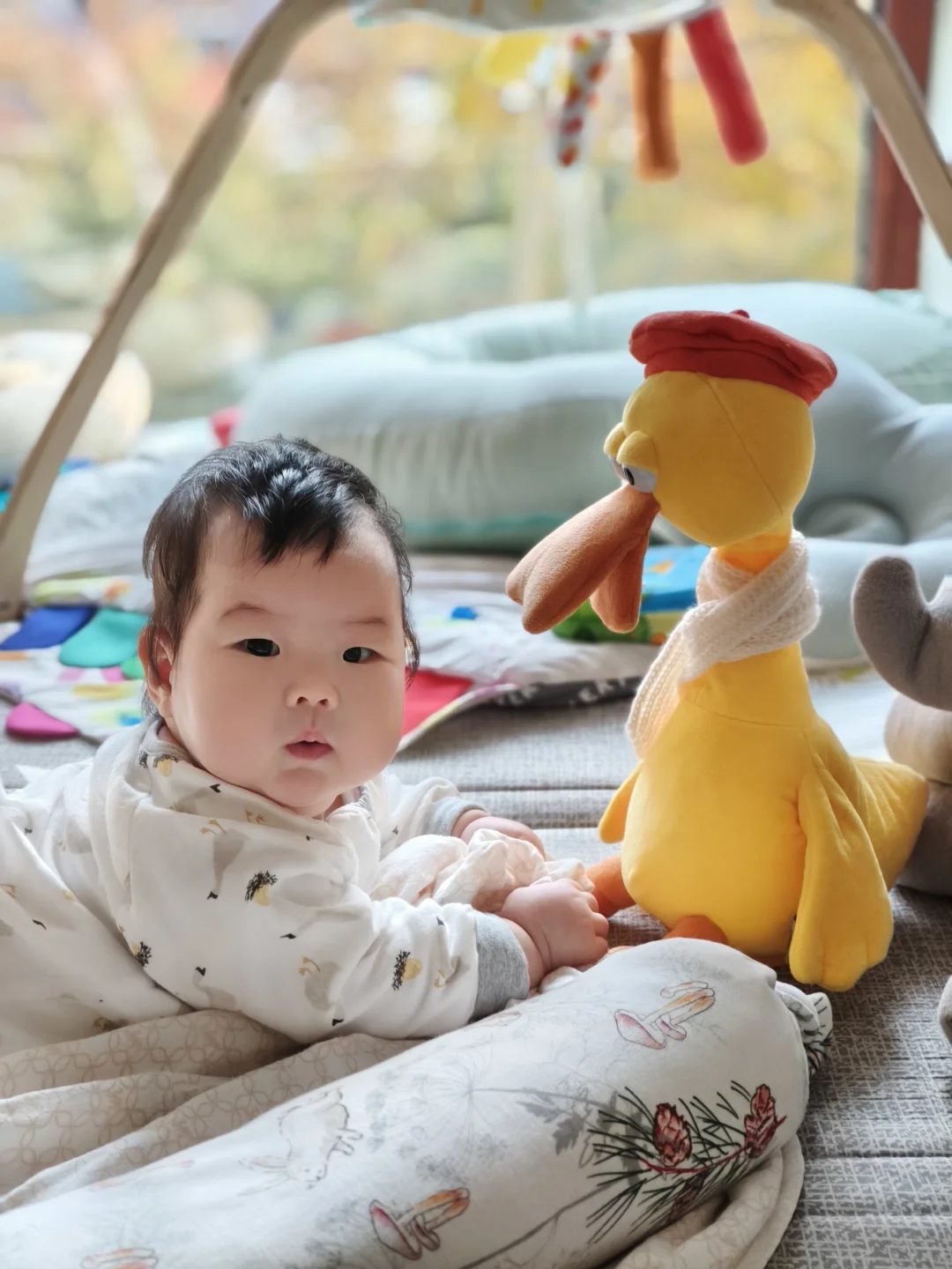 低需求宝宝长大后会是什么性格