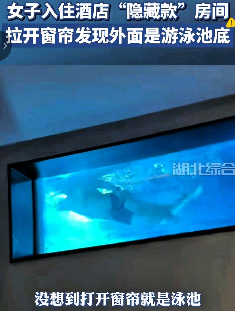 西双版纳住酒店，拉开窗帘直接和游泳大哥四目相对，这尴尬程度直接拉满！
 
本来想