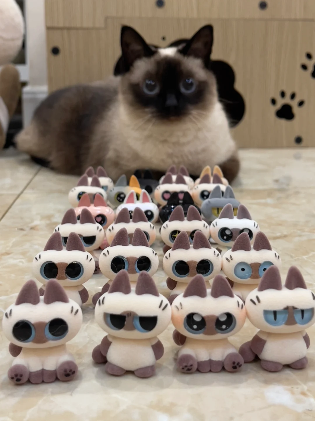 小豆泥大阅兵！