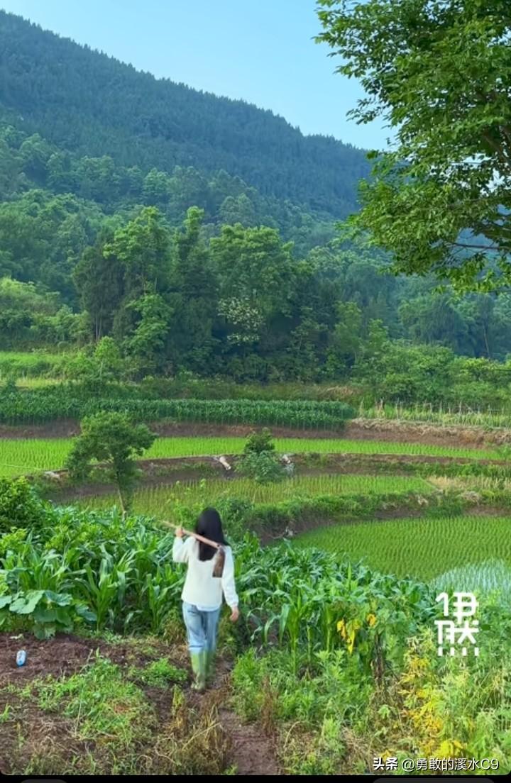 前几天得知今天线路检修停电，单位要自发电，不能走远，便决定在附近转转。一下车就被