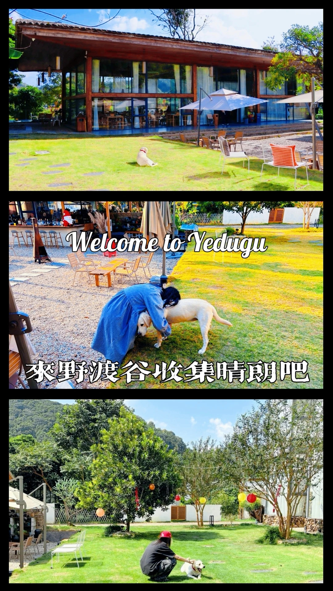 在清远野渡谷的一天，是被阳光和小狗治愈的