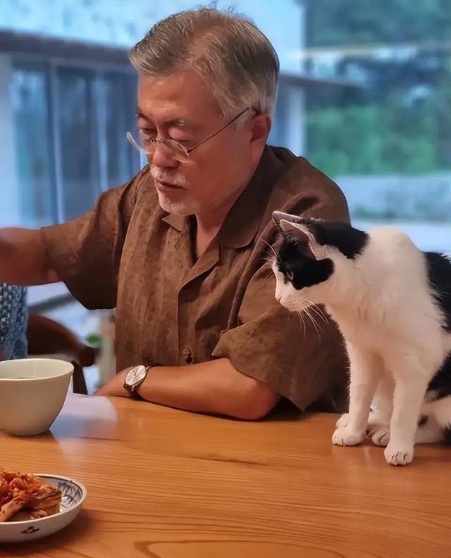 越来越佩服文在寅了，他是第一个打破“青瓦台魔咒”的人，无论是李在明还是尹锡悦都没