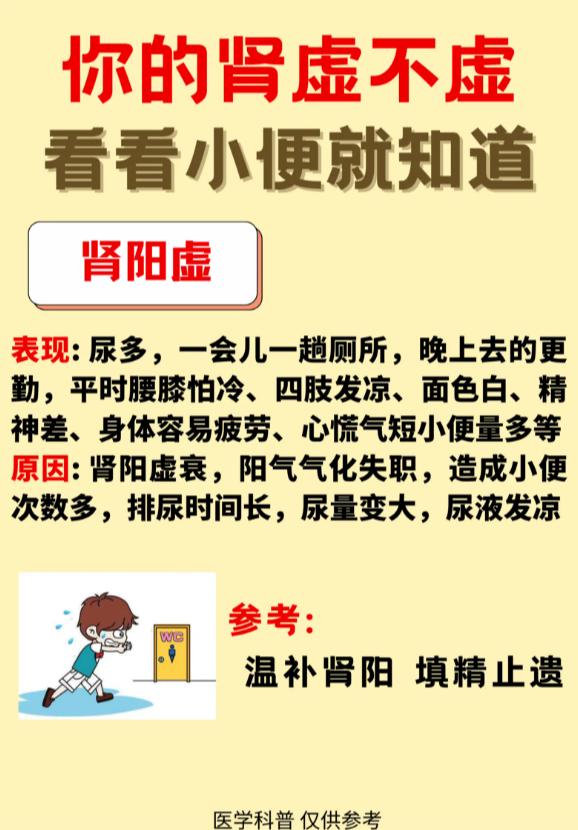 从小便状态，判断你的肾气强弱