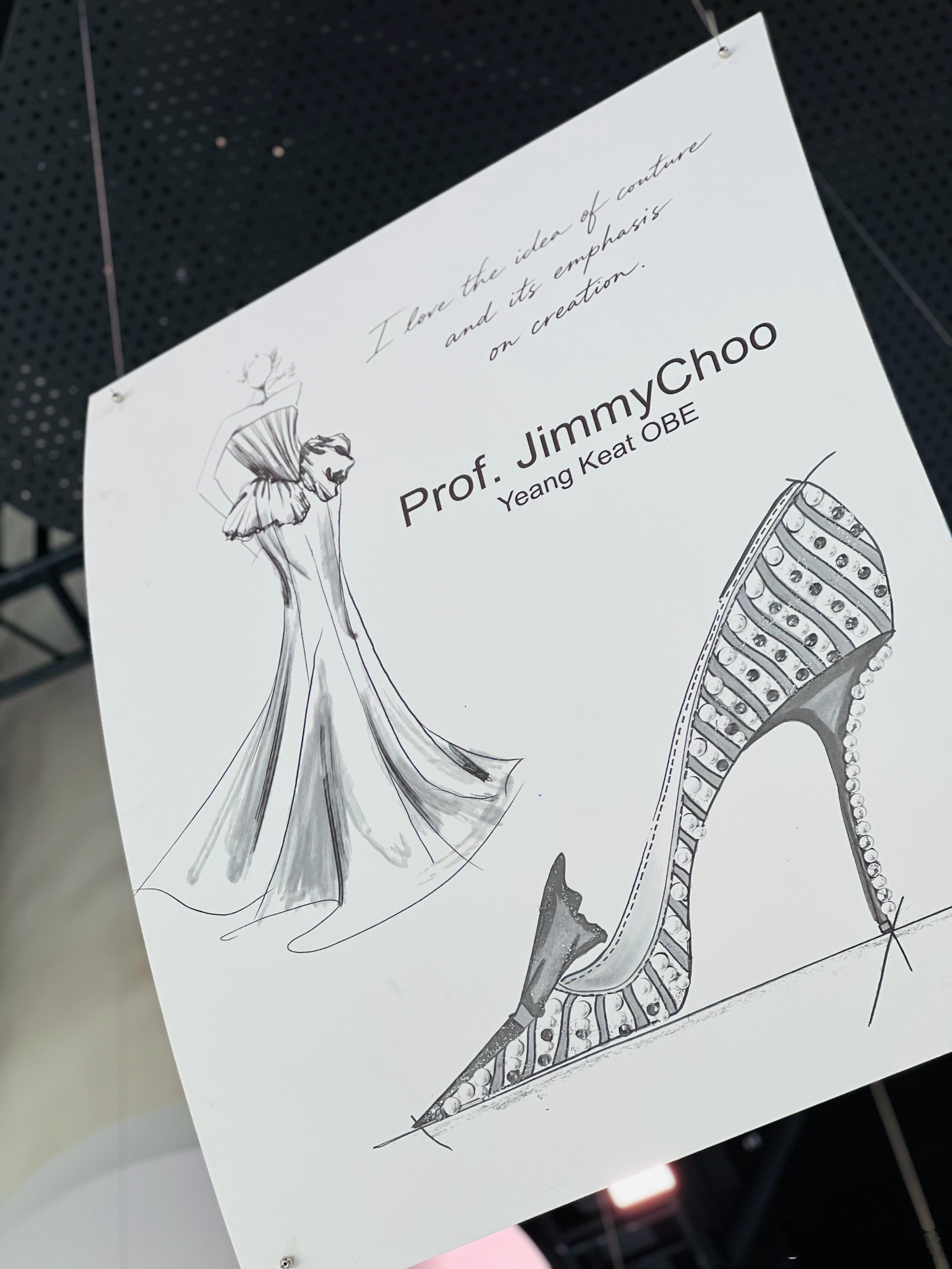 主攻女性用户的智己L6 Prof. JimmyChoo高定限量版，男人看到也惊艳