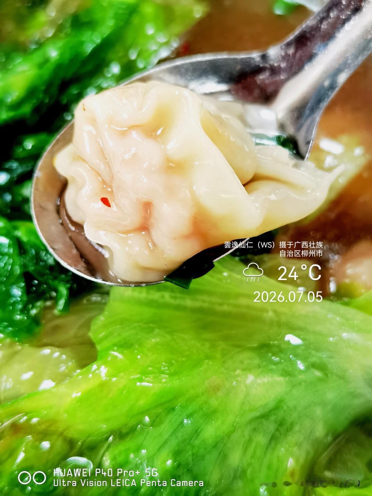 月居生活记录（10100）广西壮族自治区柳州市（137）品尝小吃36：郑嫂广雅本