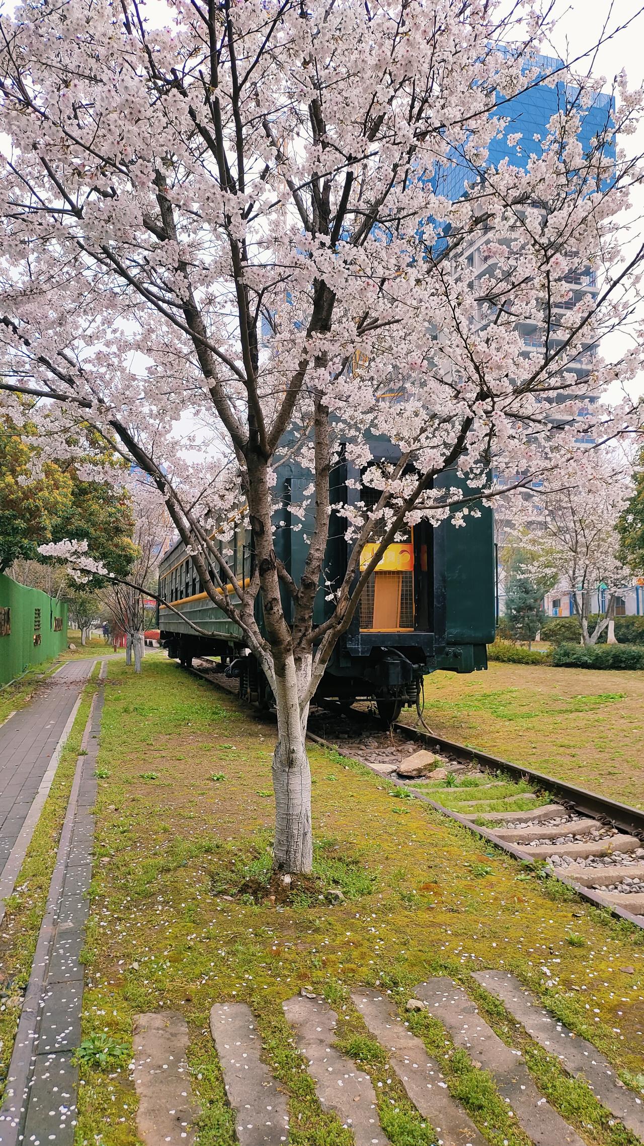 人到中年
在婚姻中
老公的事

睁一只眼闭一只眼。

他是个成年人，可以为自己的