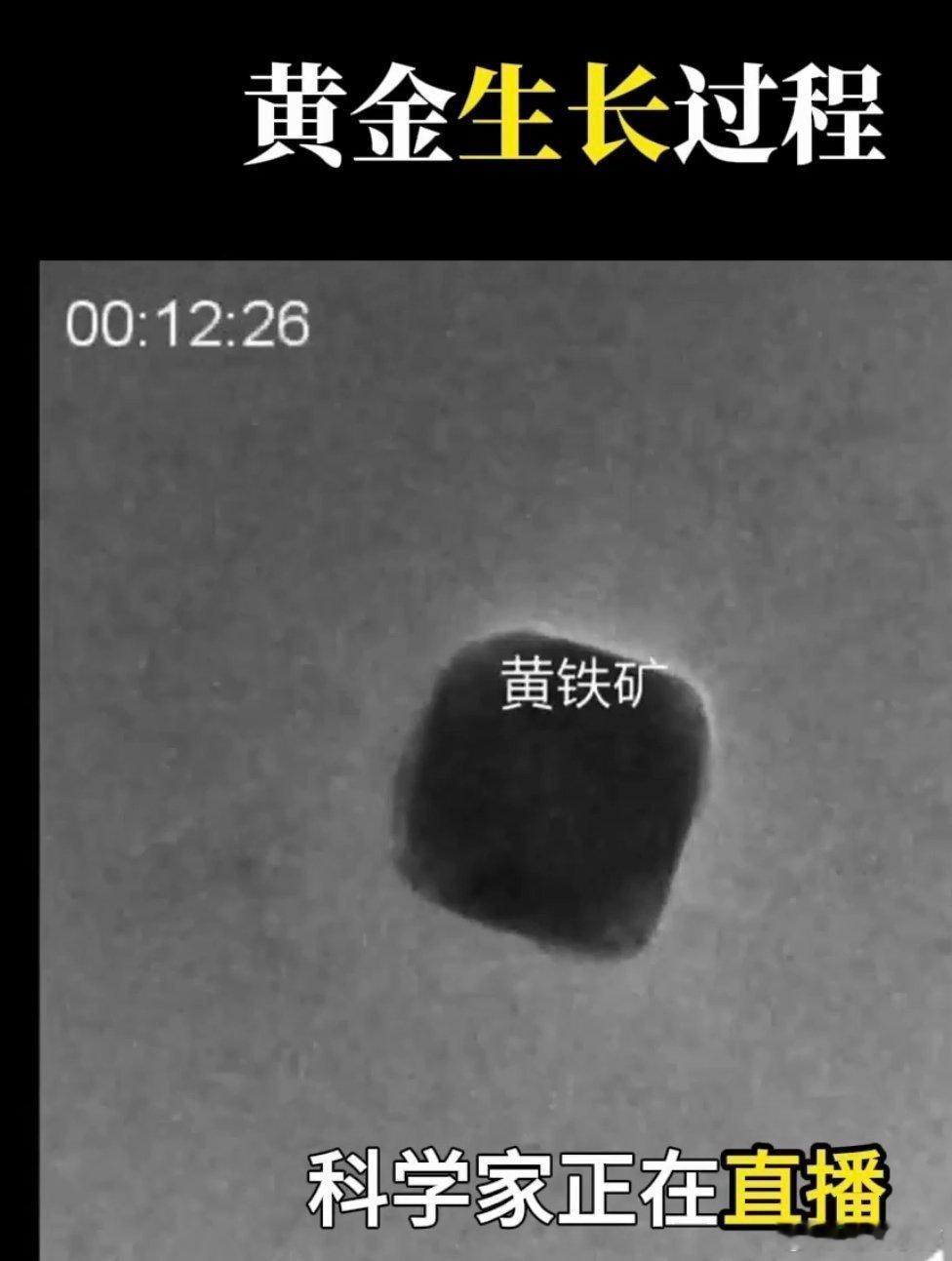 中国科学家重大突破！普通黄铁矿竟能“长出”黄金，自然炼金术照进现实央视新闻消息，