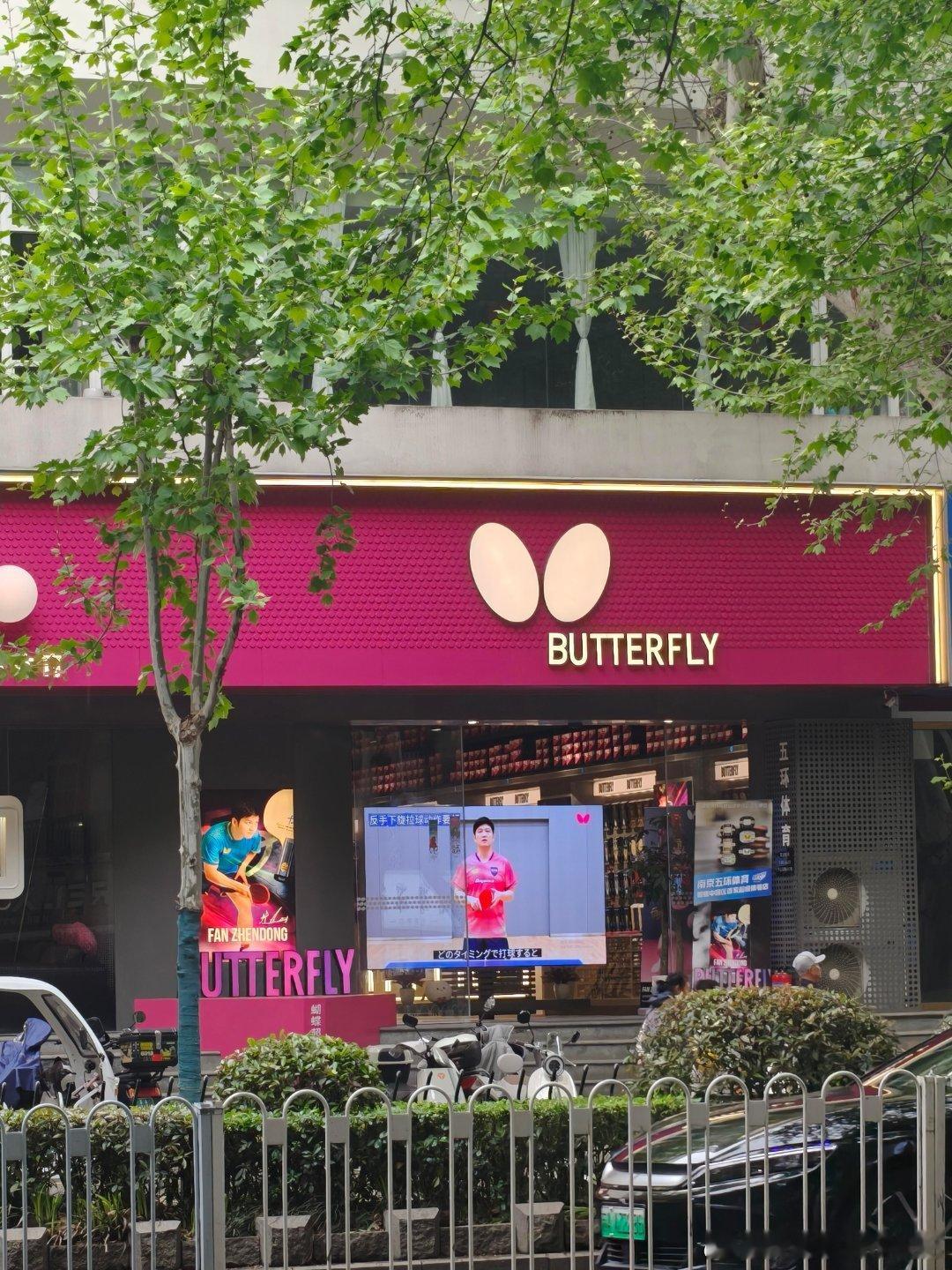 樊振东超一流门面担当！ 