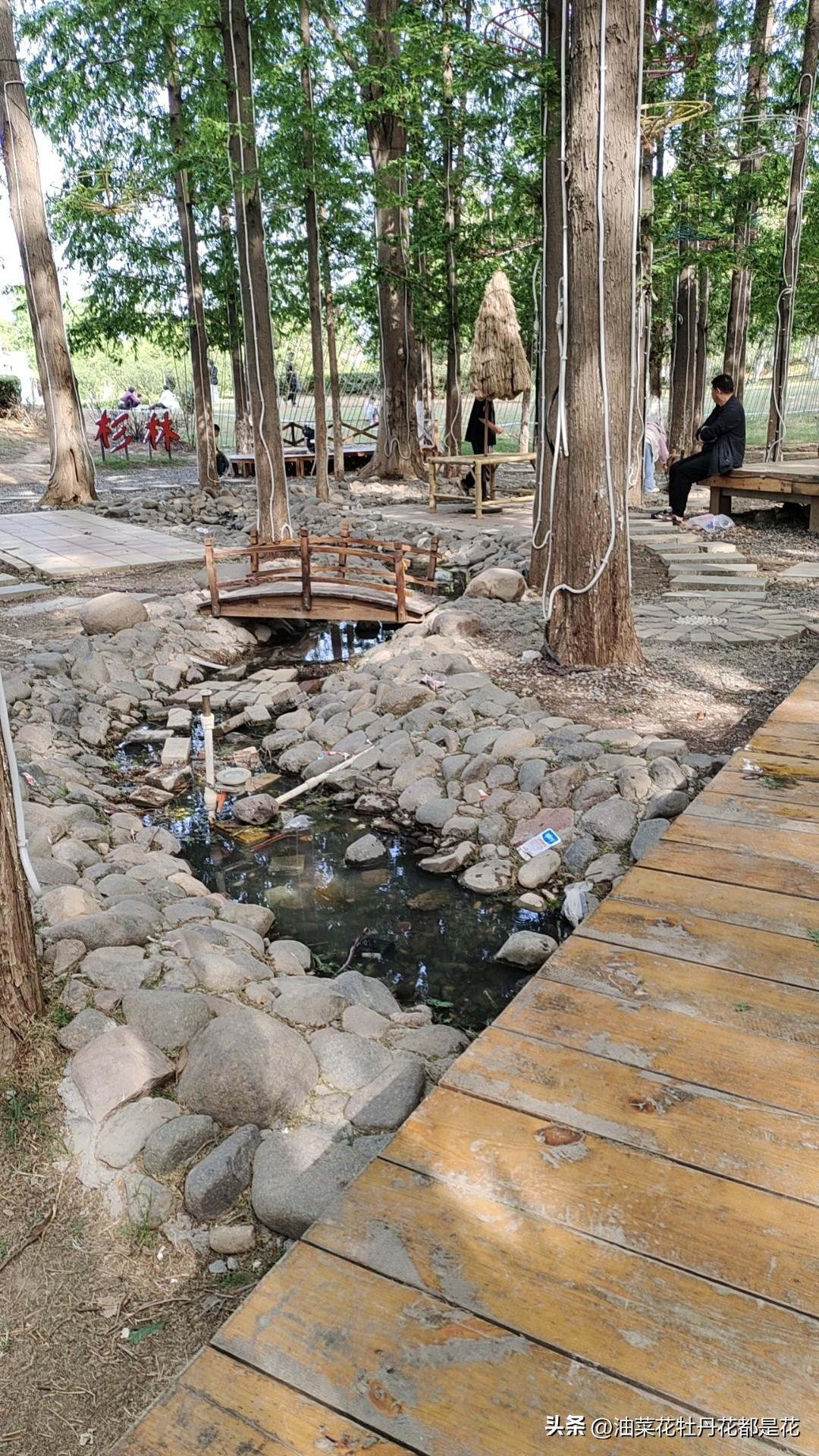 向导航软件学习，只要定下目标，就结合自身特点，规划最优路线并实施。
即使不慎走错