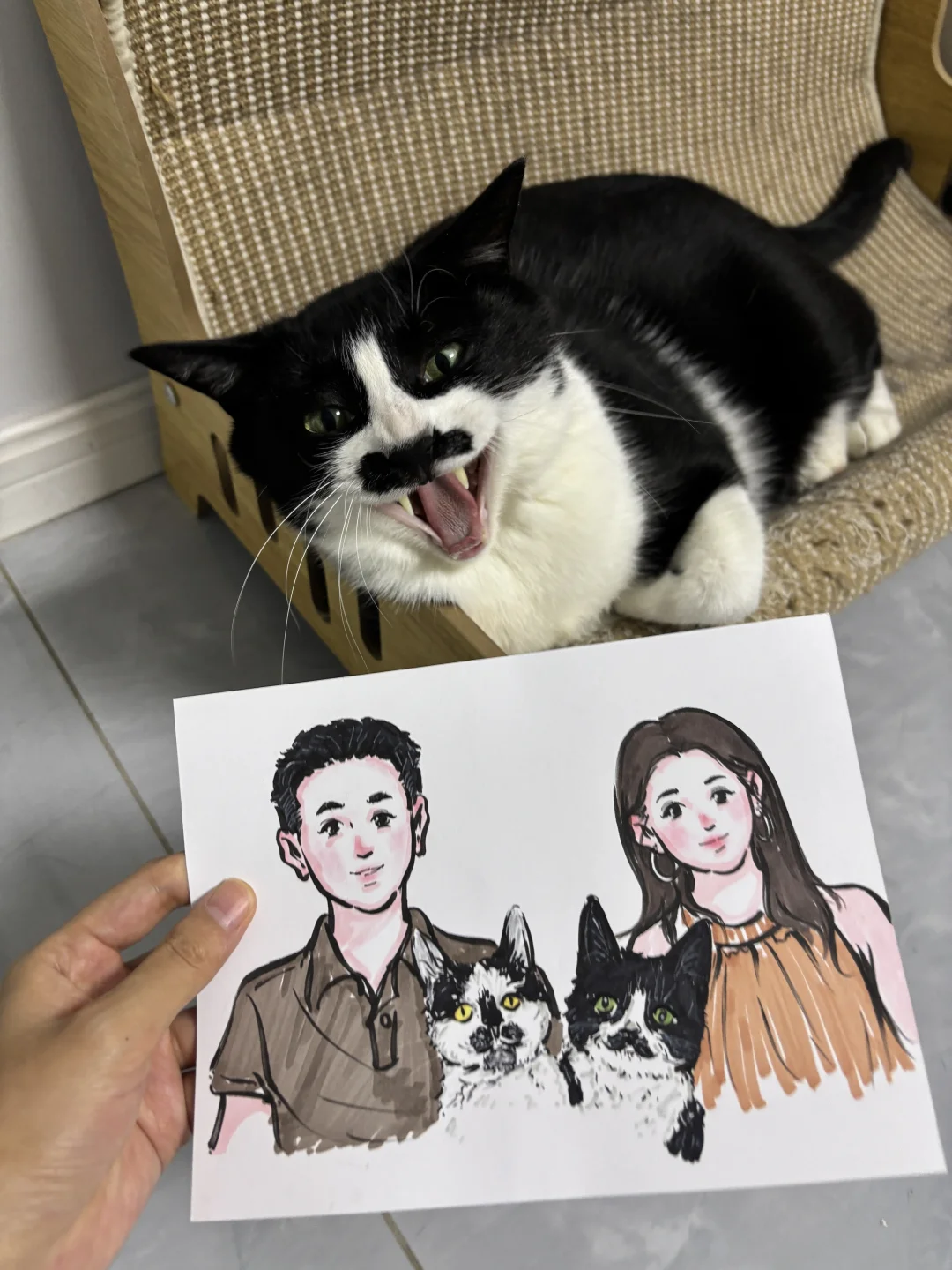 小猫好像觉得自己被画丑了？