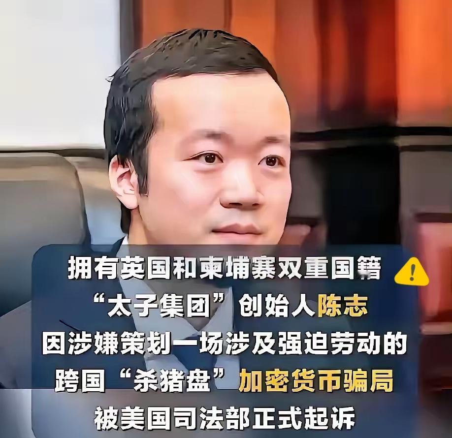 披着“商业精英”外衣，靠着爵位和政商关系作掩护，陈志和他的太子集团曾把跨国电诈玩