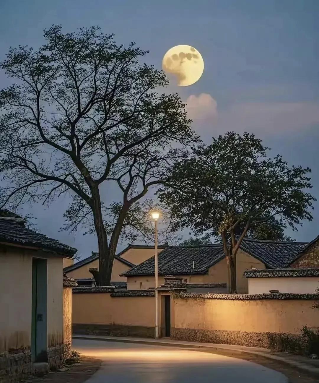 只有坚持别人无法坚持的坚持，才能拥有别人无法拥有的拥有。