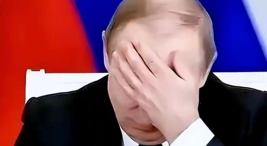 个人认为：普京在开战初期确实严重误判了，而且是战略级误判；泽连斯基能活到现在，核