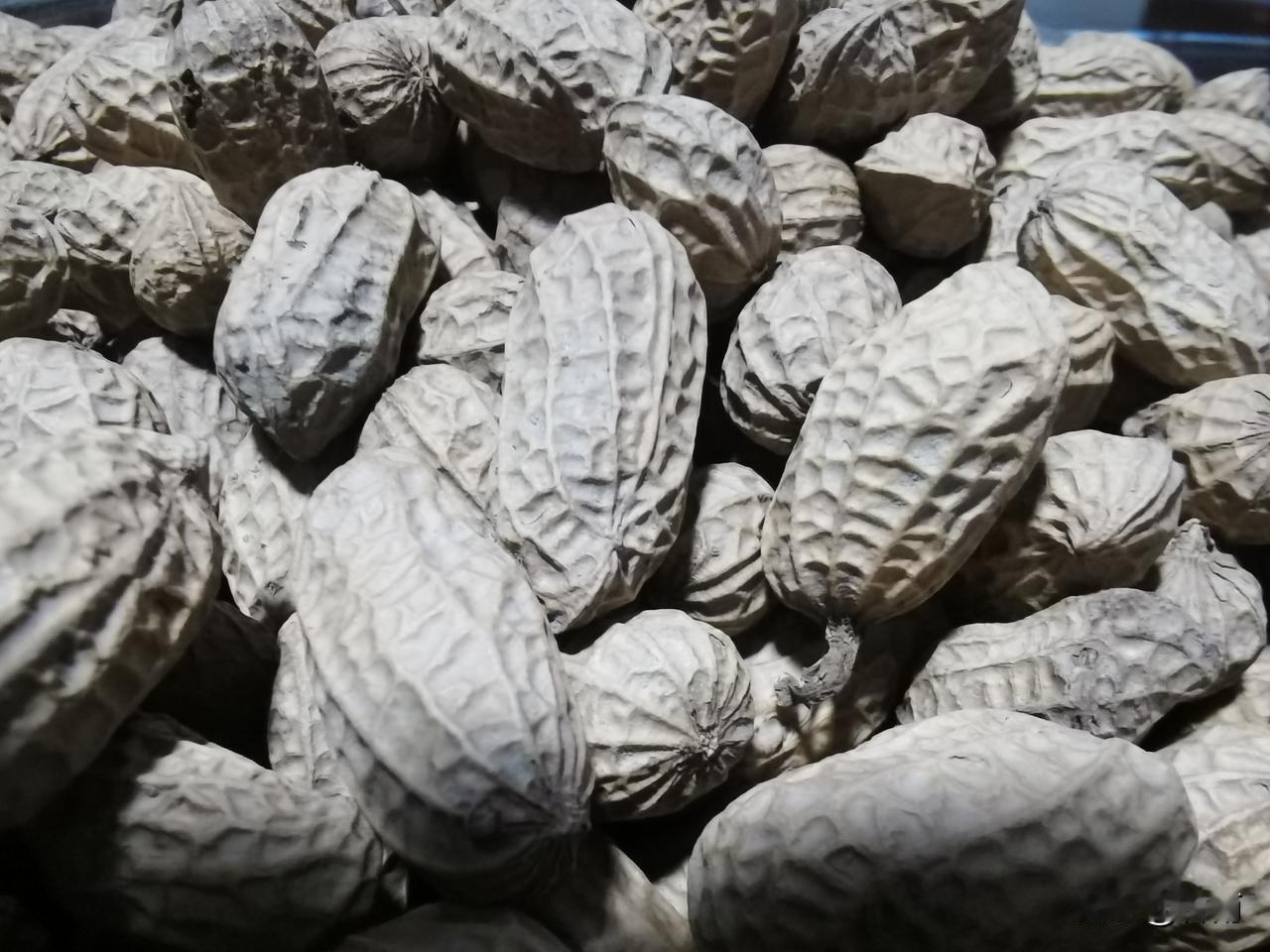 阅读分享：
        犹太人养生饮食智慧——面包加盐。
        《