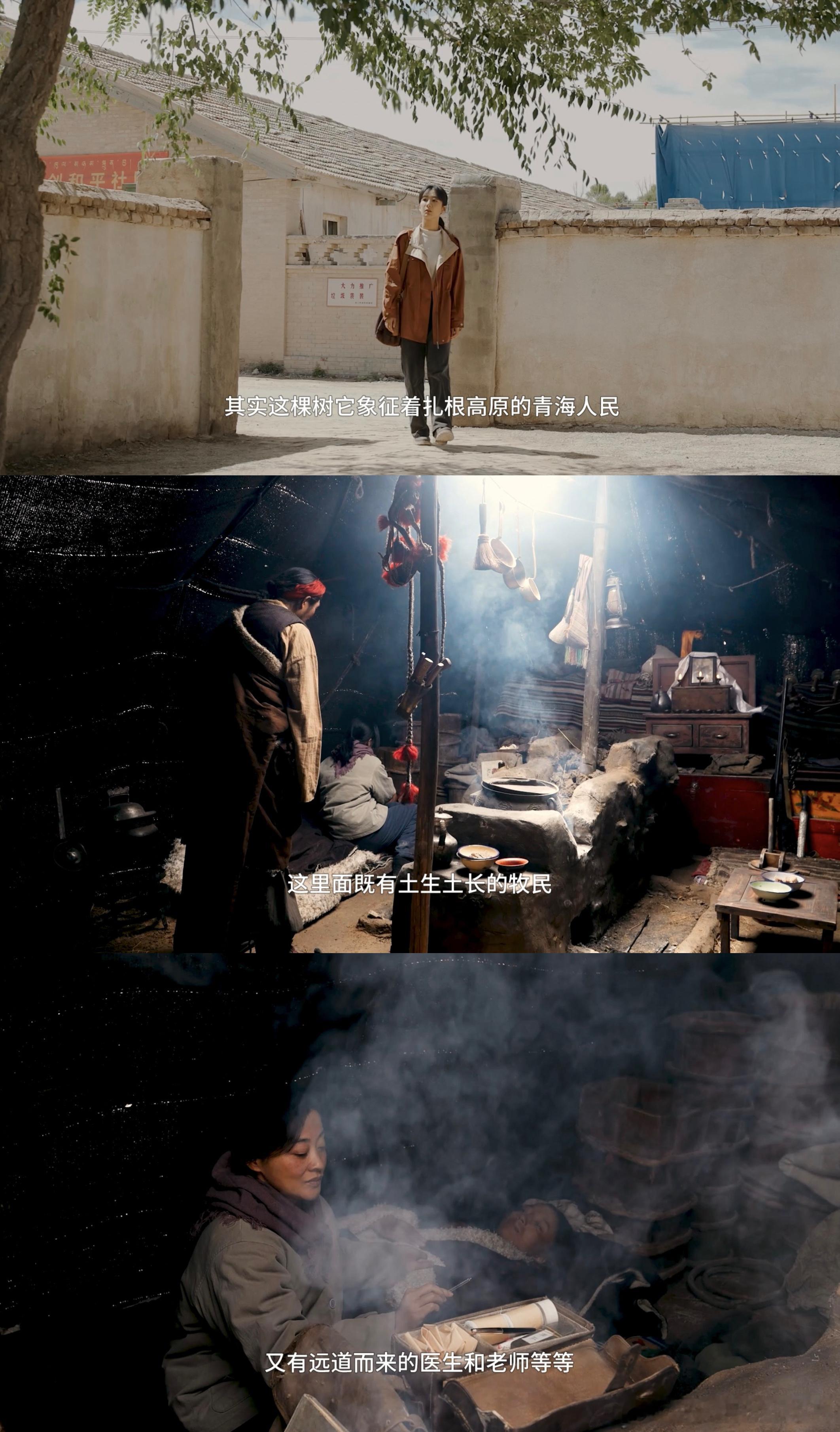 终于有国产剧拍了高原反盗猎了电视剧生命树里不只有主角，冻土上的那群巡山队员也刻画