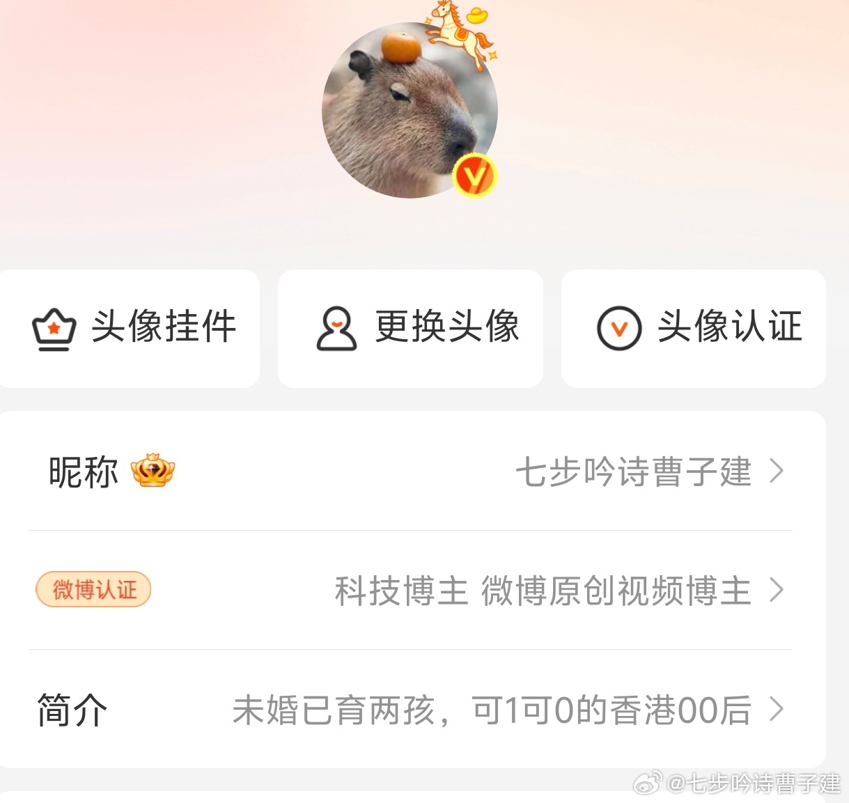 改个说明略略略