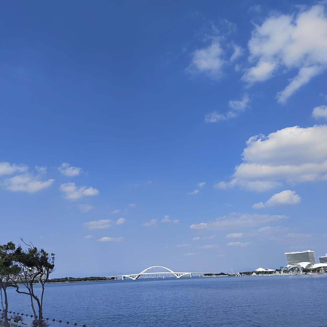 看头条知晓台湾：
头条新闻显示，郑丽文主席已确定进行访问。在百年未有之大变局、历