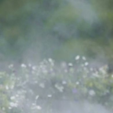 每日一善 xk‎阳光‎信用 烟雨润良田，芒种启安康。夏收藏圆满，播种寄期许，时节