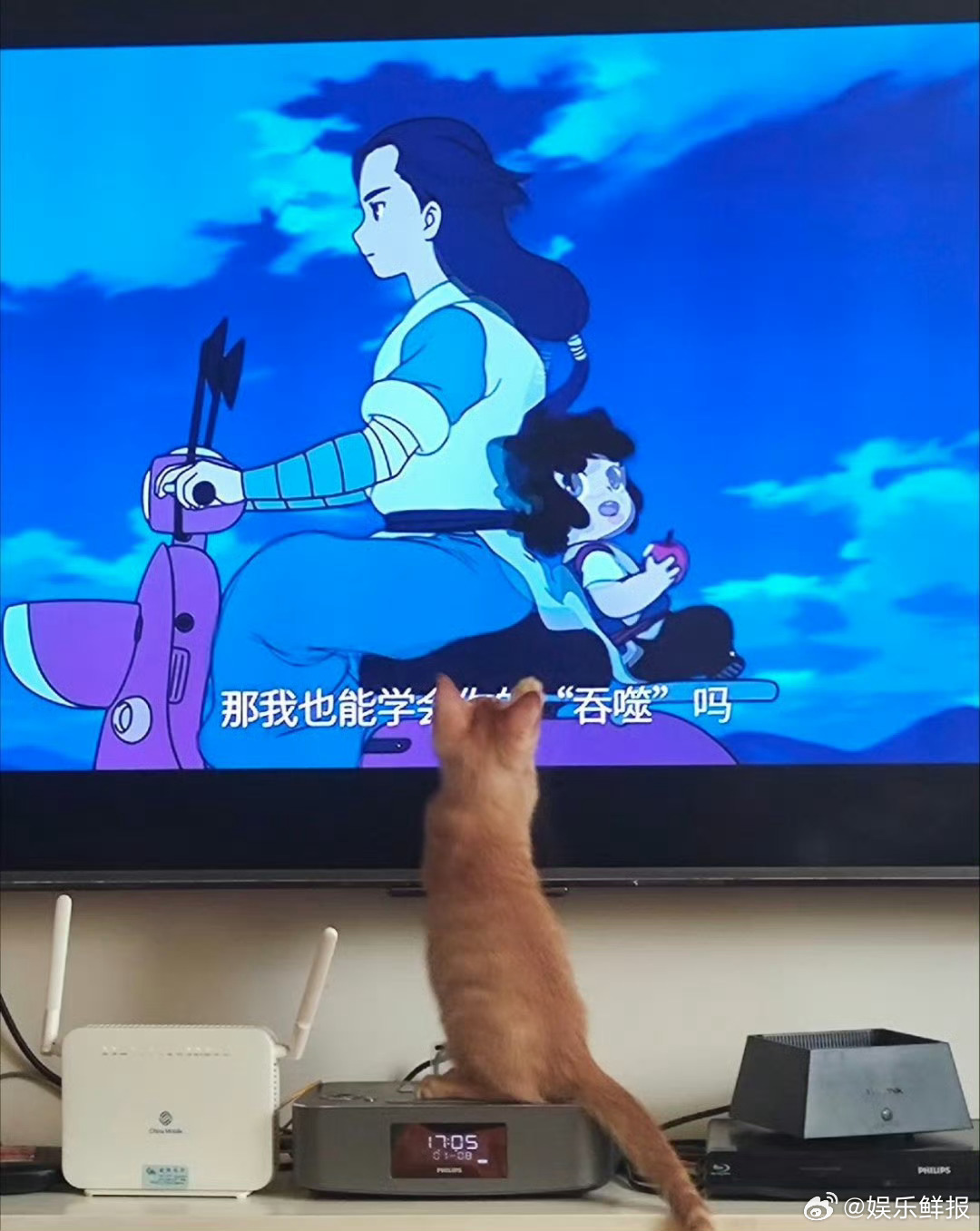 猫看罗小黑像我们看成龙猫届有自己的成龙，小猫咪看罗小黑真的就跟看大英雄一样吧[可