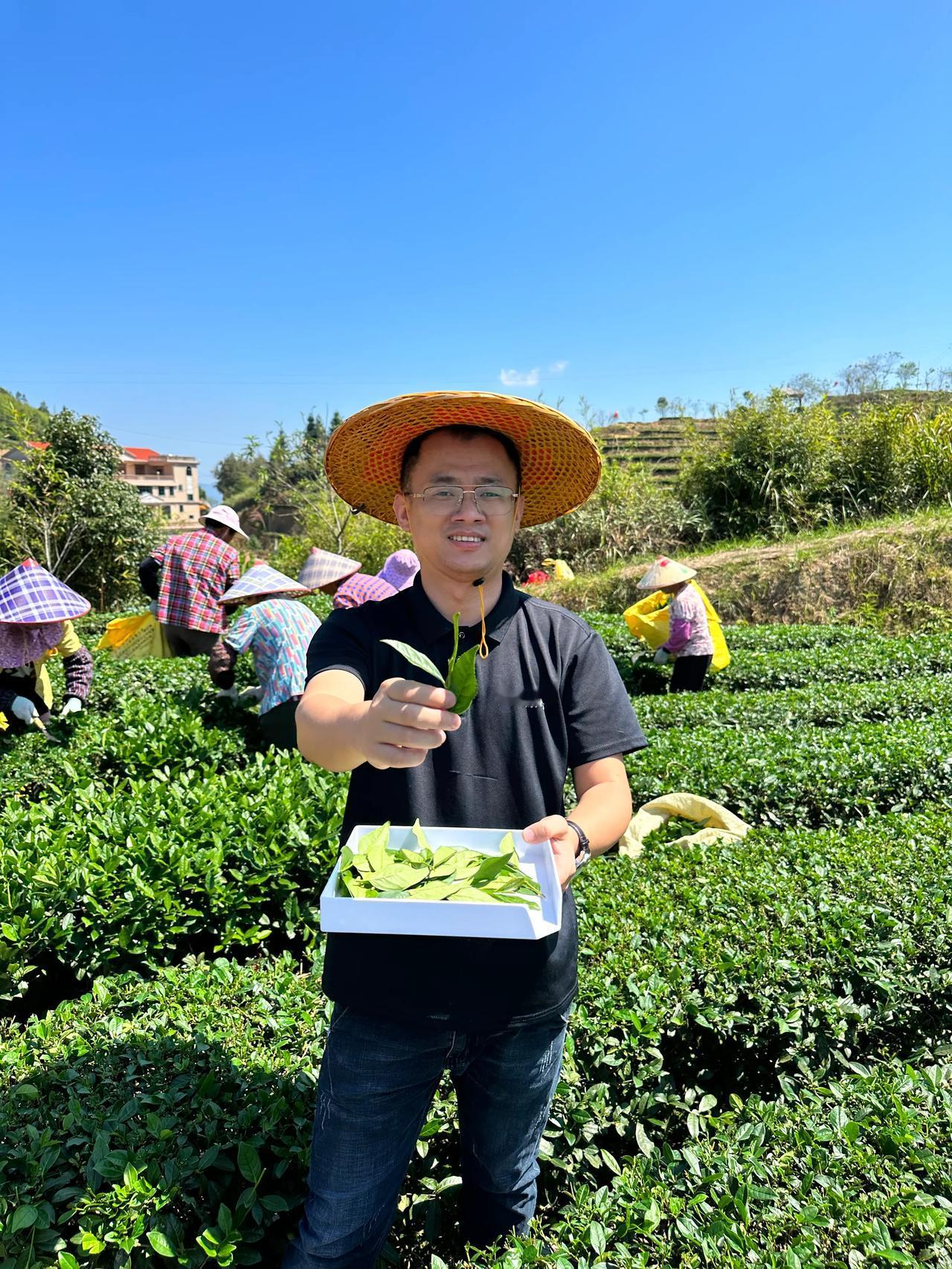 ❤️大家好，我是返乡创业大学生，小陈，一个淳朴的茶农2代，爸妈家里都是种茶的，大