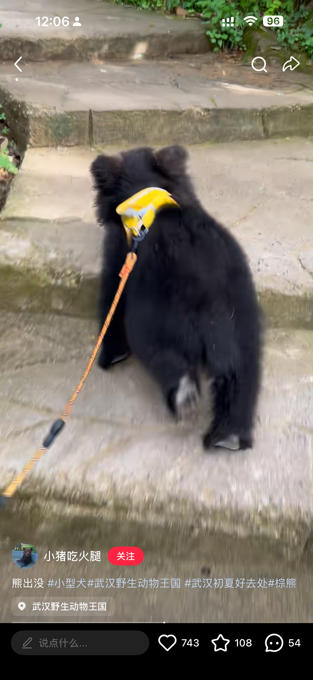 这是Lago你失散多年的大哥吗？@ 彭小苒的爱犬辣狗 