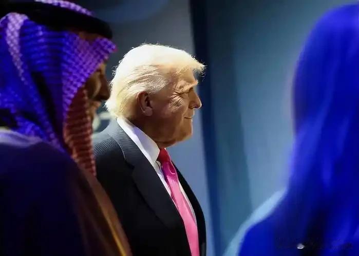 特朗普"黄金舰队"计划引热议，专家：全球航运格局将生变
 
特朗普最近在竞选演讲