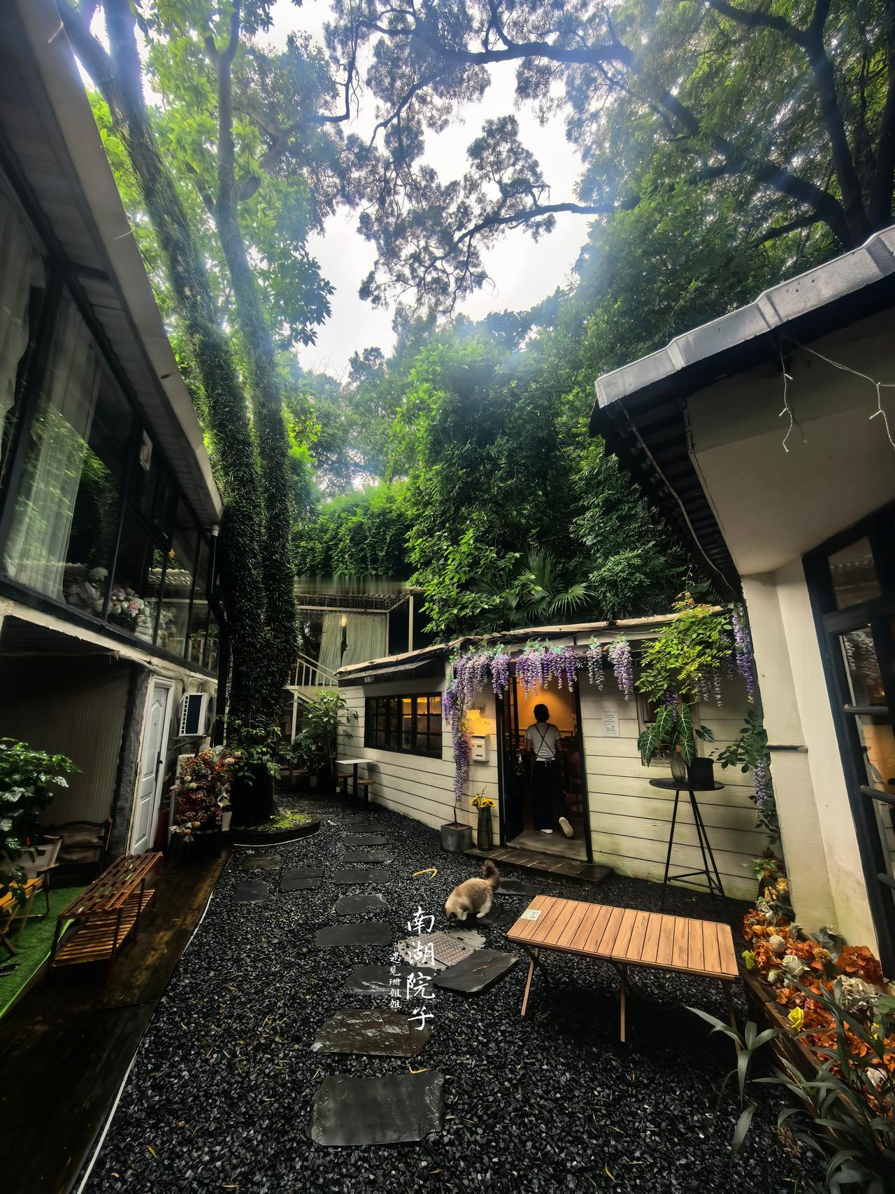 本来打算去南湖美术馆逛逛，沿着南湖湖边随便散步，走到南湖中路69号，无意间发现这