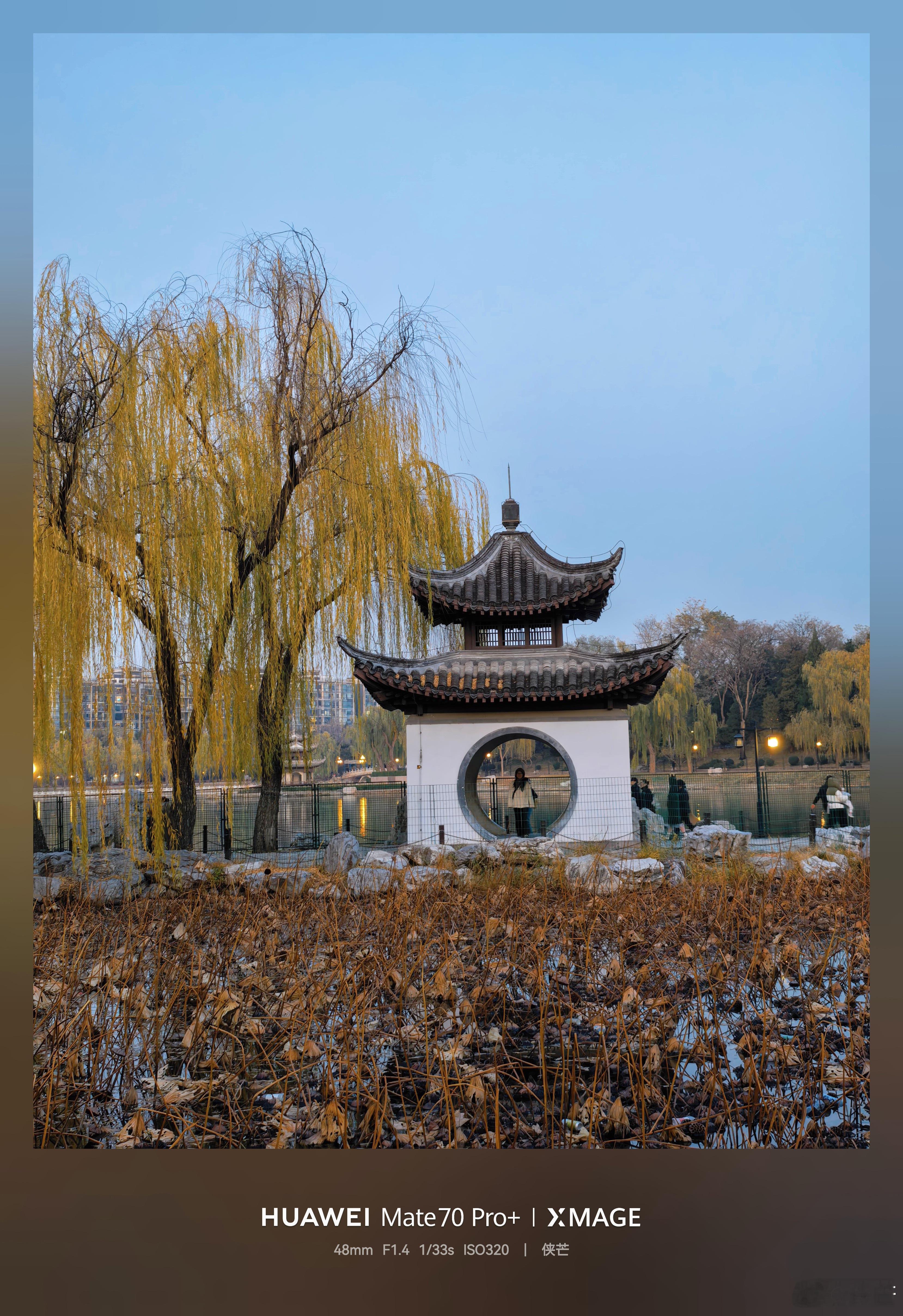 〖暖阳照陶然，童趣满亭间〗        周末的陶然亭，暖阳洒落，如金箔铺满小径