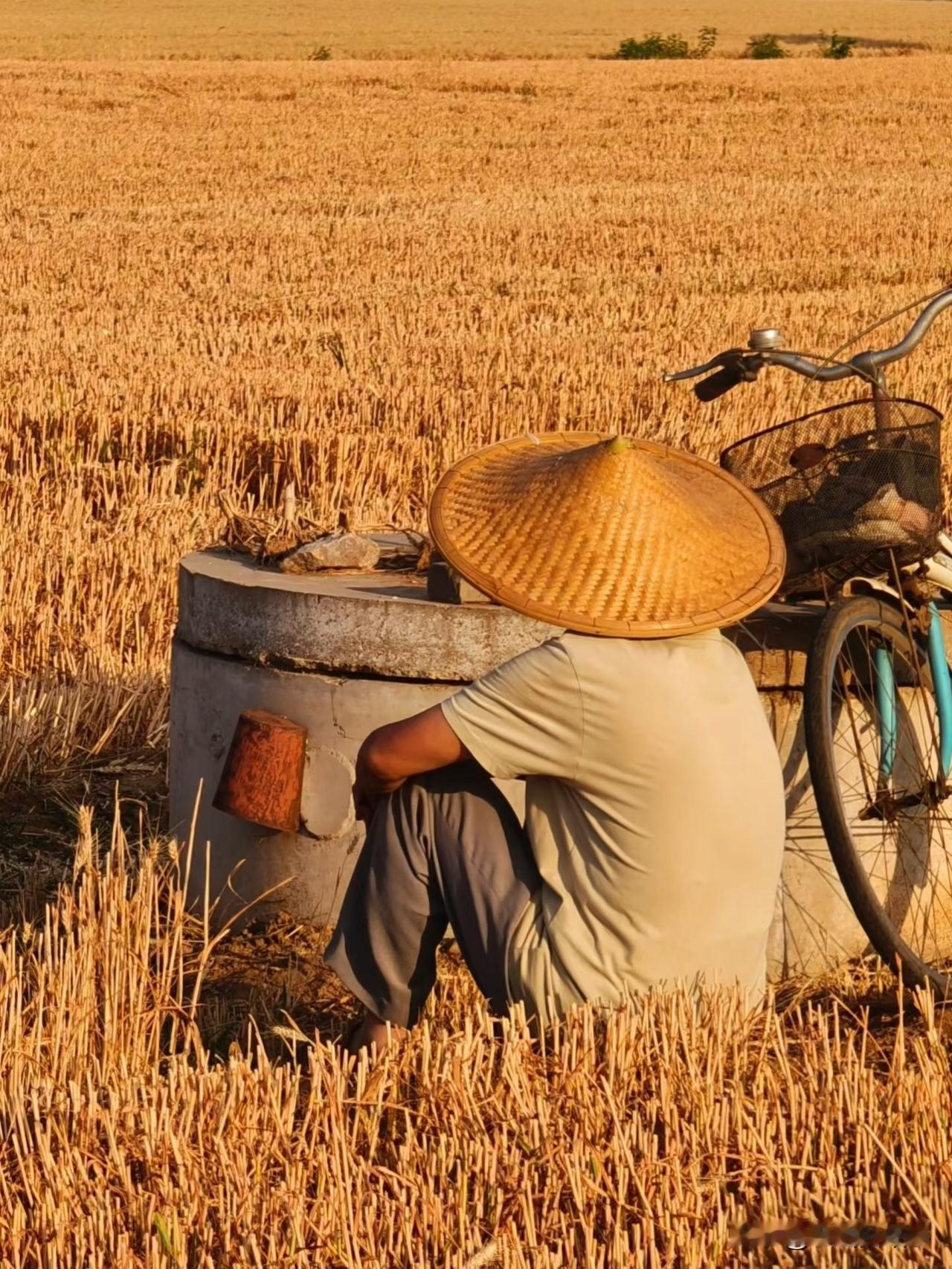 人到中年，除了钱什么最重要了人的一生短暂而又漫长，说它短暂是指物理上的日出日落，