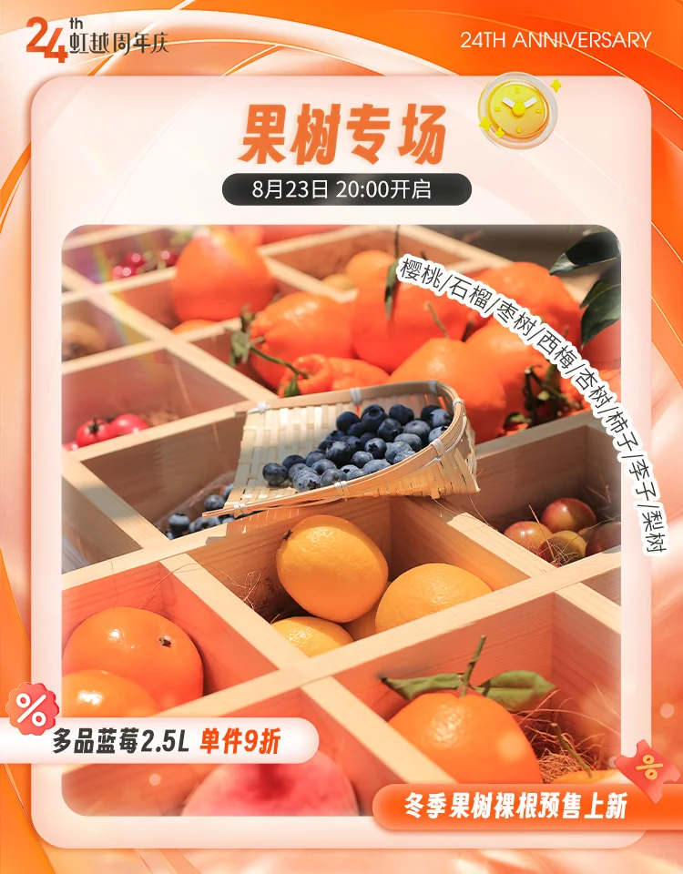 美味果树上新！蓝莓盆栽苗活动即将开启~