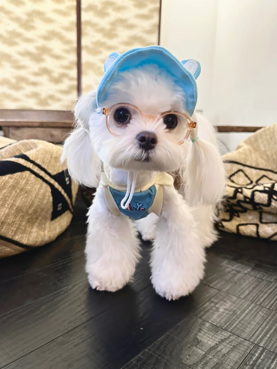 我妈说这眼神是老板不敢招的员工