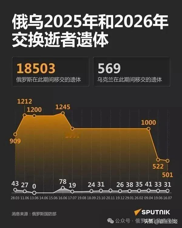 261换24，俄乌进行新一轮阵亡军人遗体交换；俄方移交遗体均为乌克兰阵亡军人。