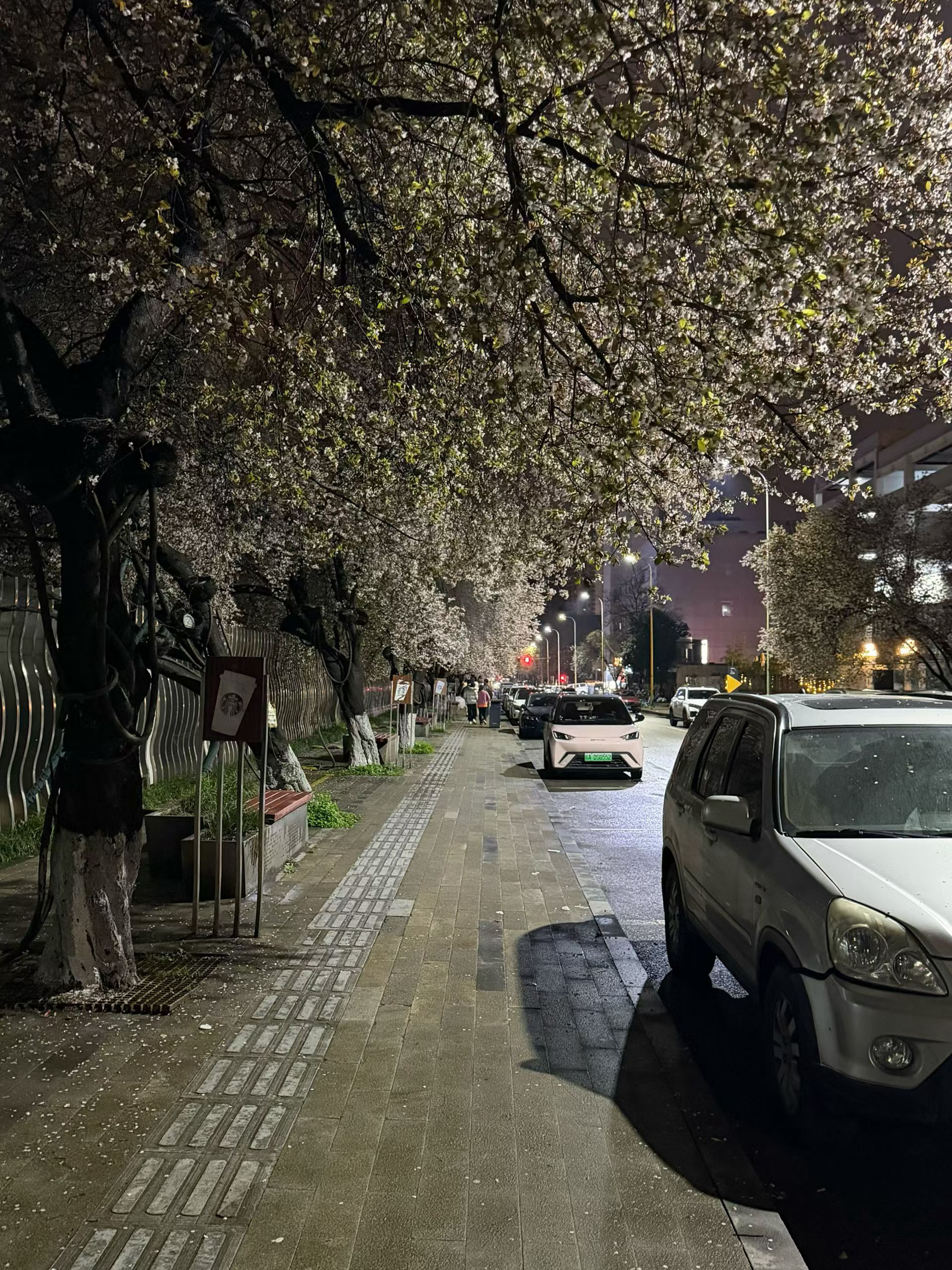 和你一起散步是世界上最浪漫的事 