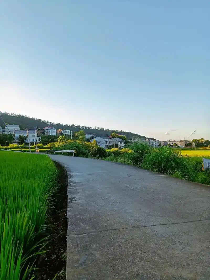 五年二十多万，换一个事业编，这笔账你算过没有？

我们村老张家的闺女，前天刚在村