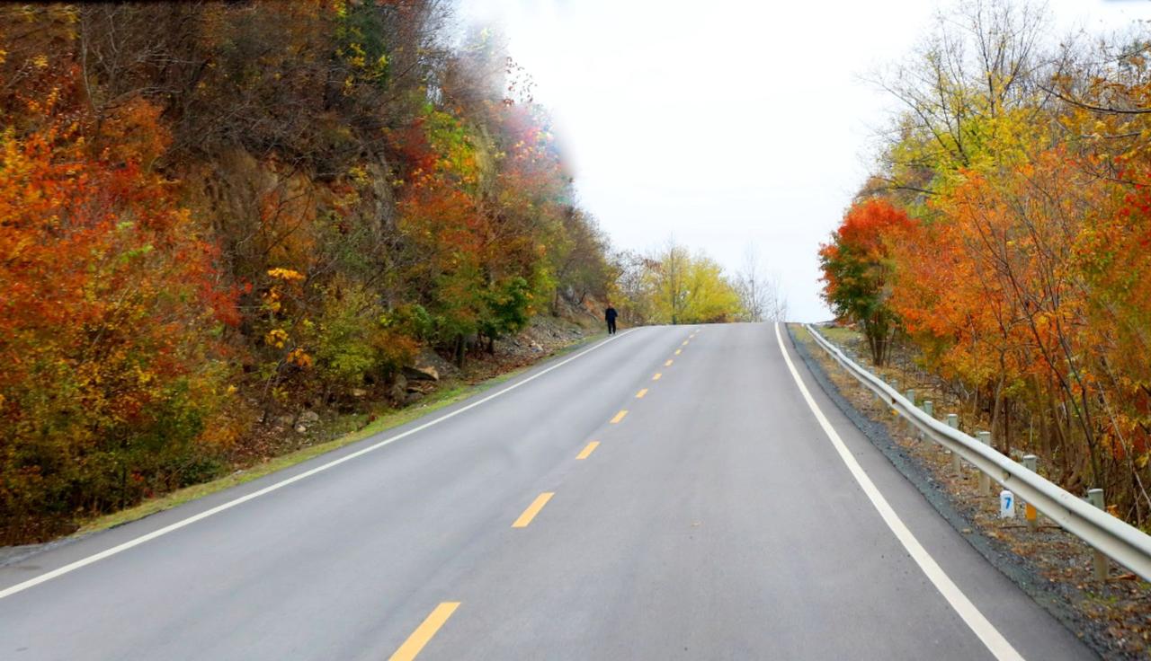 坪坝至宋河的公路，秋色如画更好的风景永远在路上 治愈系风景