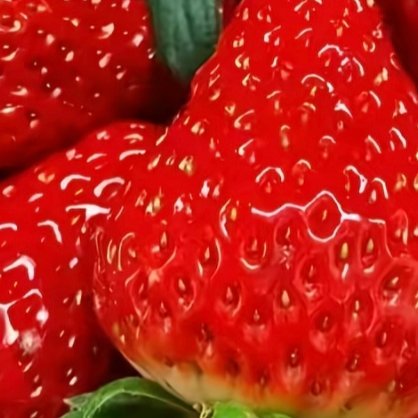 草莓种植种植  1. 栽种时间大部分地区最佳种植时间：10–12月新手推荐品种：