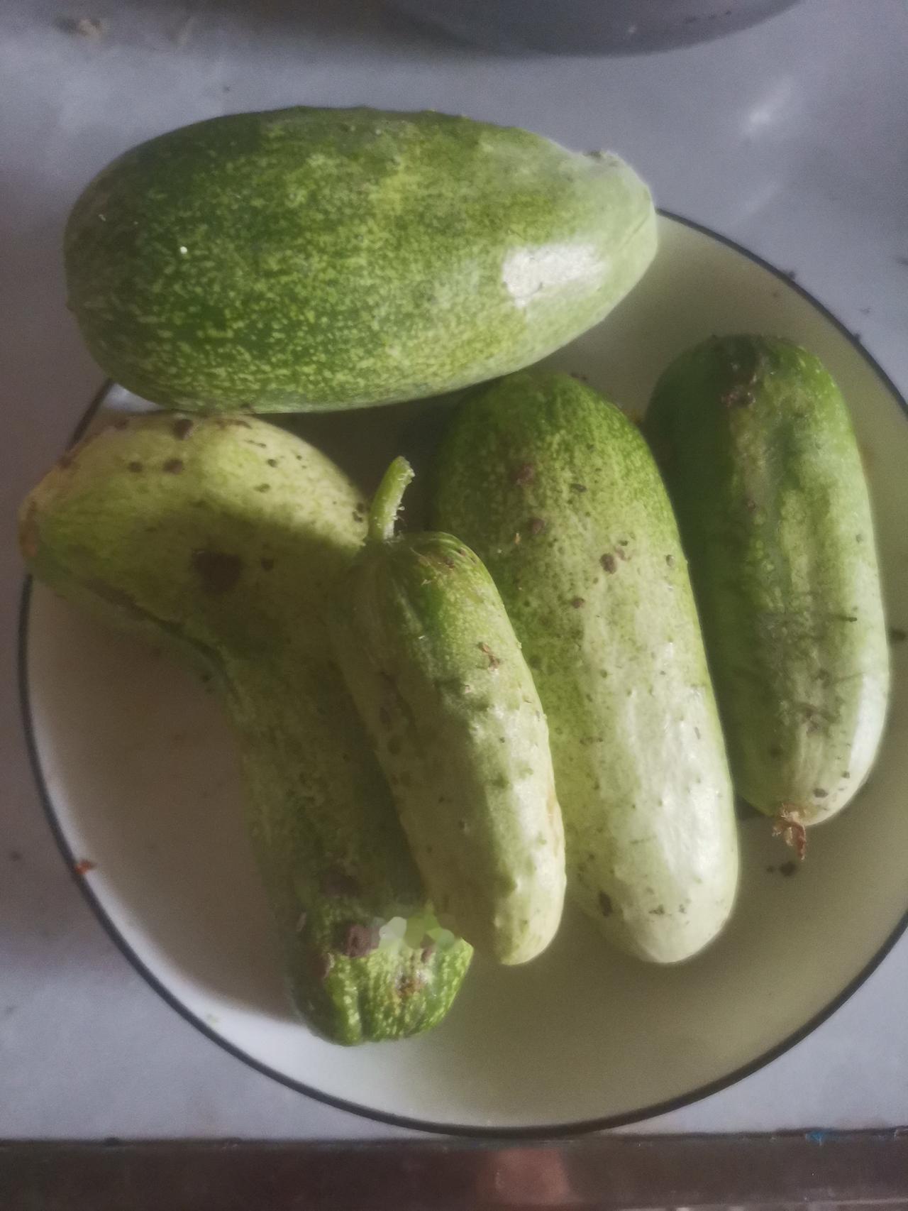 我爹非常迂腐。
我爹又非常勤快。

可能是因为我爹妈白天在街上做生意。
老屋里的