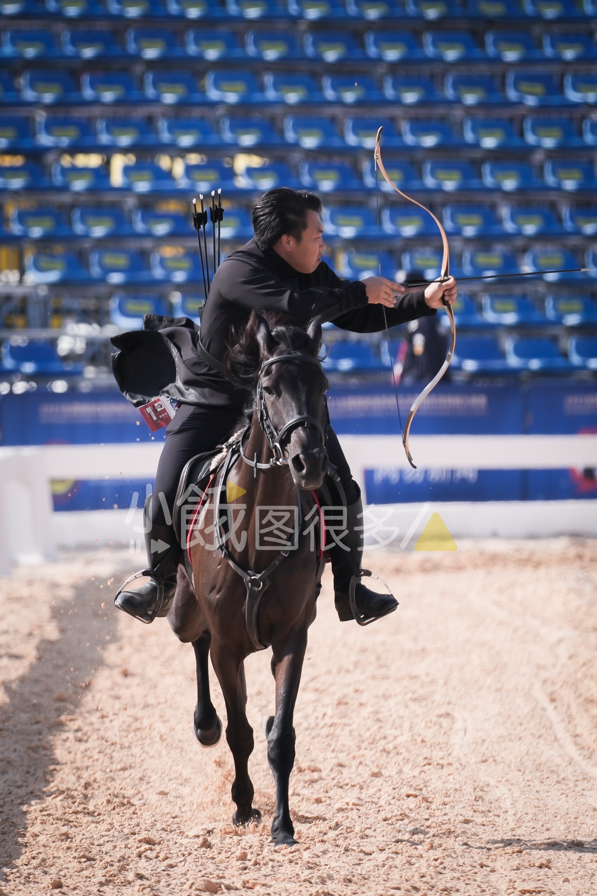 武王驹被照顾的很好哎，体型特别匀称健美的马儿