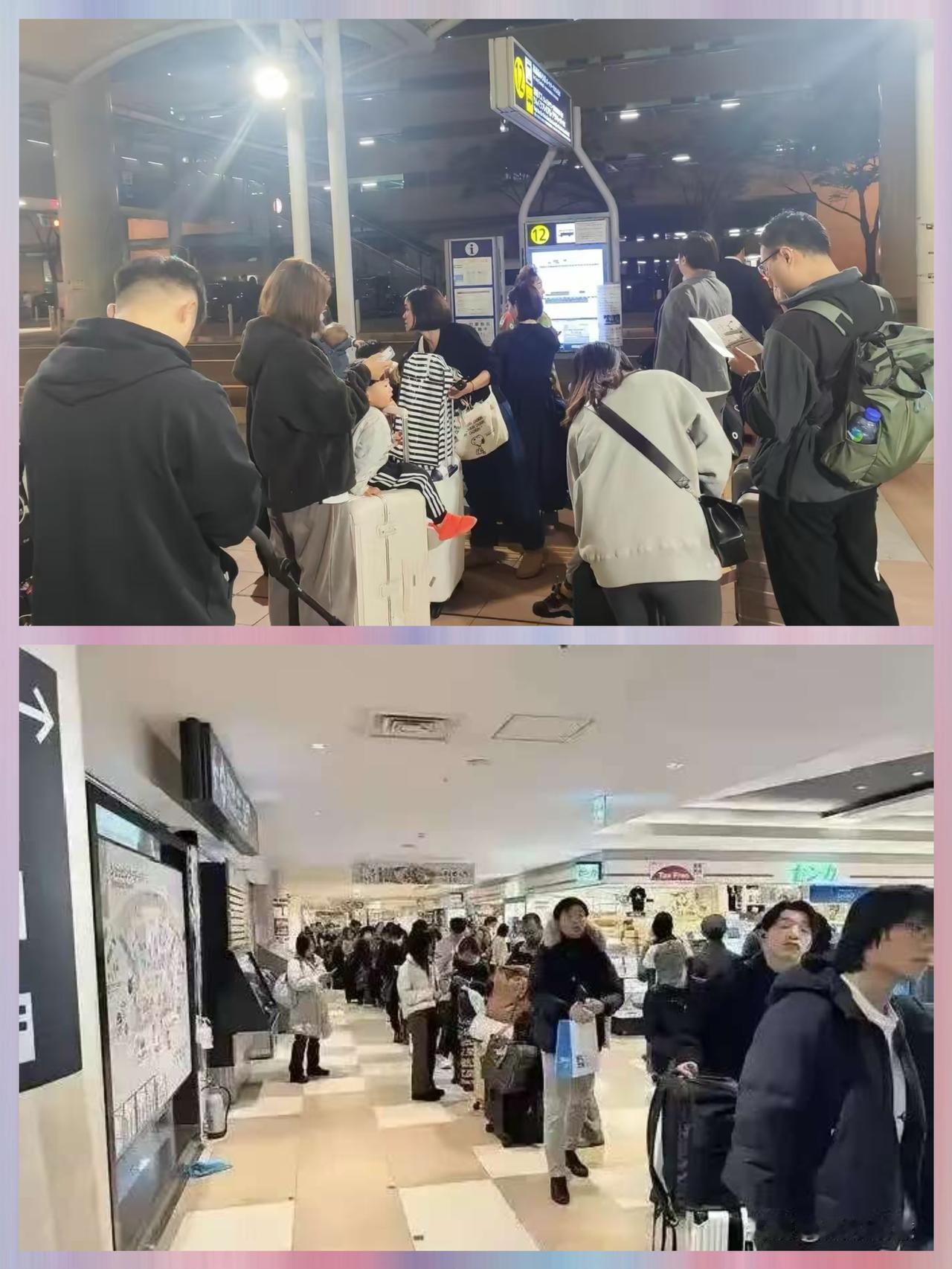 国家协助在日本机场滞留且准备回国的人员时，应进行区别对待。

先摸底划清界限，国