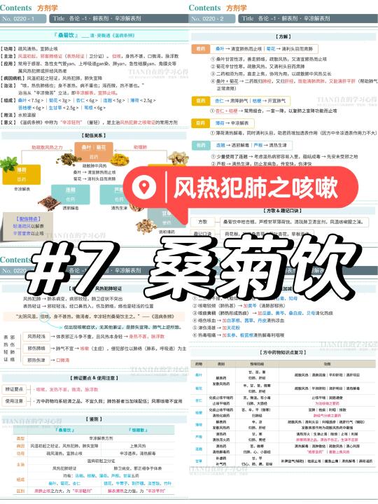 No. 220｜桑菊饮·留意与银翘散的鉴别❗️