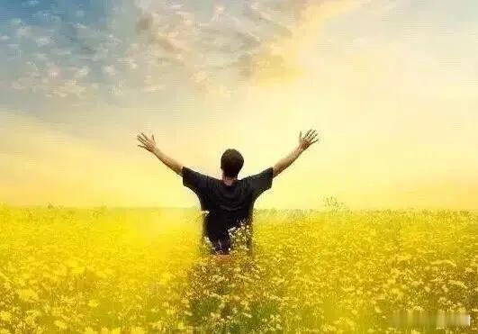 钱，是在克制与等待中赚来的钱不是在频繁交易中赚的，是在等待、克制与耐心中赚的。?