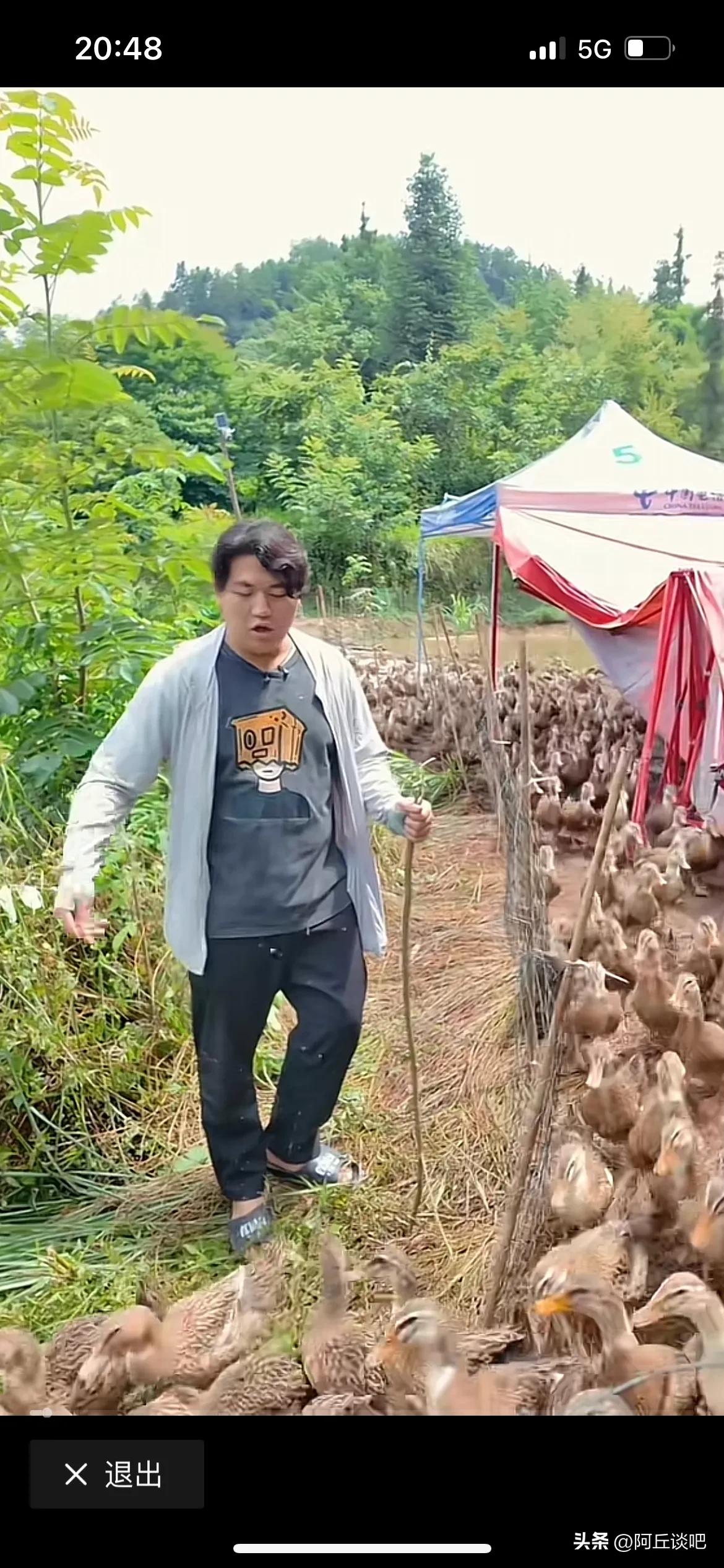 全红婵的哥哥是不是农民，我不知道，但是他现在就是凭一己之力，带动农产品销售，这一