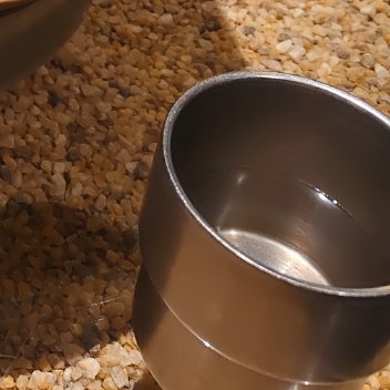 生活手记张凌赫萧厉 阳光来自太阳，更来自我们的心灵。心里阳光，生活便是七彩的；心