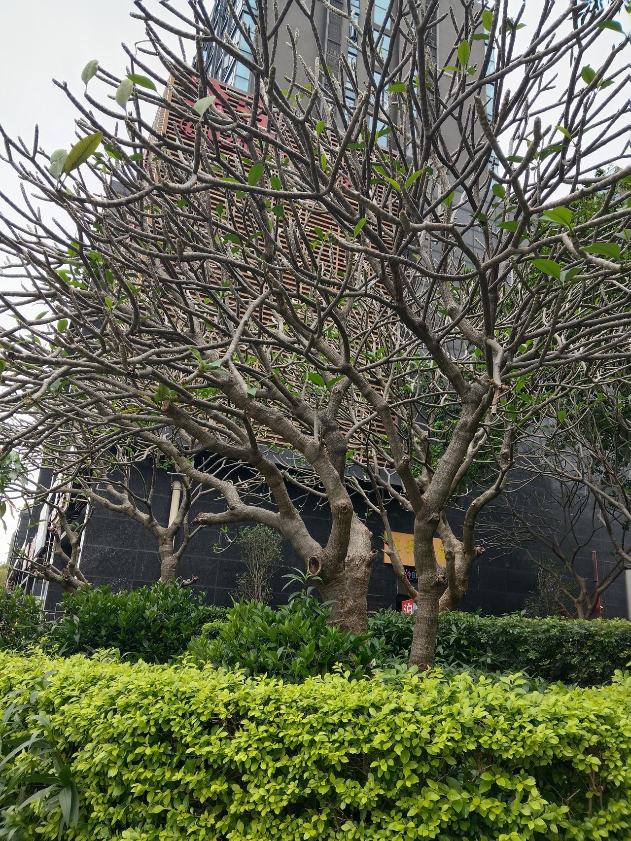 人这一生，很多东西都是过眼云烟，只有自己的身体永远属于自己。就像那些身外之物，房