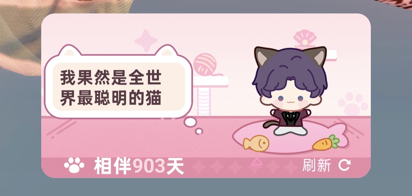 今天记得更新完再出门了先摸一下全世界最聪明的猫 