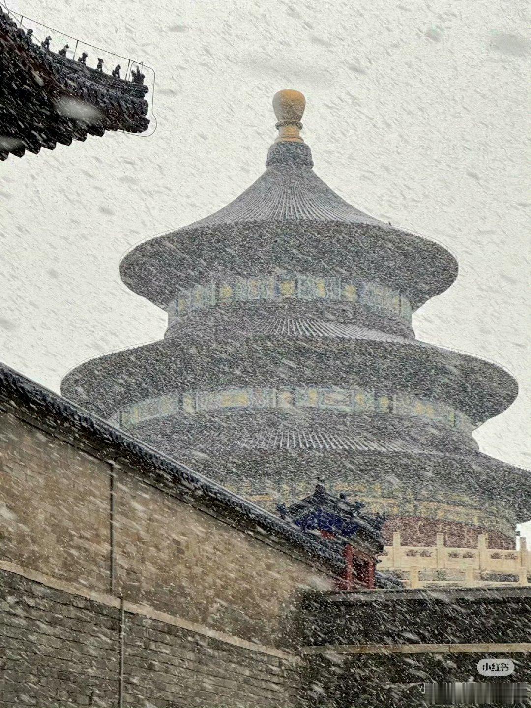 北京下雪轻轻落在我掌心，静静在掌中结冰路虎《雪落下的声音》和下雪的北京适配度拉满