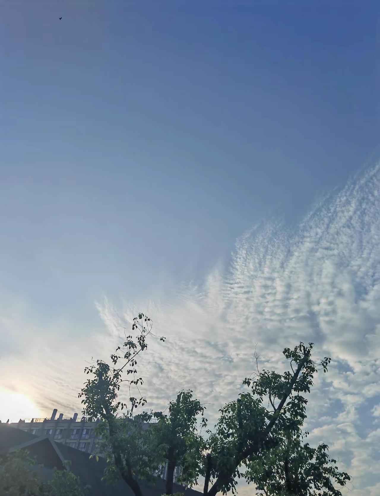 成都的天空。2026年6月6日，成都晴，旭日东升，月亮还在天边，日月同天，蓝天白