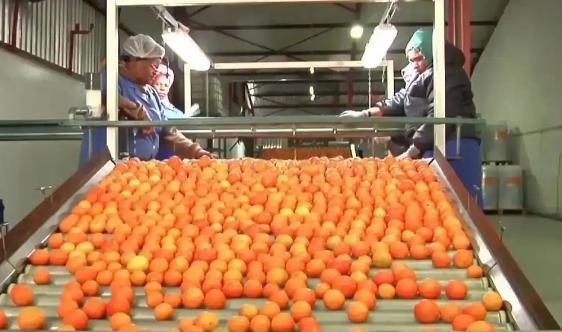 非洲的货要在中国卖疯了，

不是因为价格便宜，也不是因为质量好，而是因为中国对非