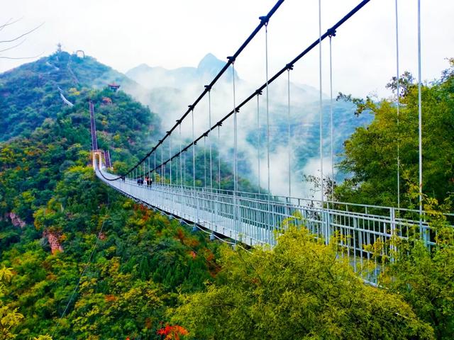 龙门石窟|沉浸式灯光秀、情景剧本杀、全息体验馆...这些景区有了新玩法