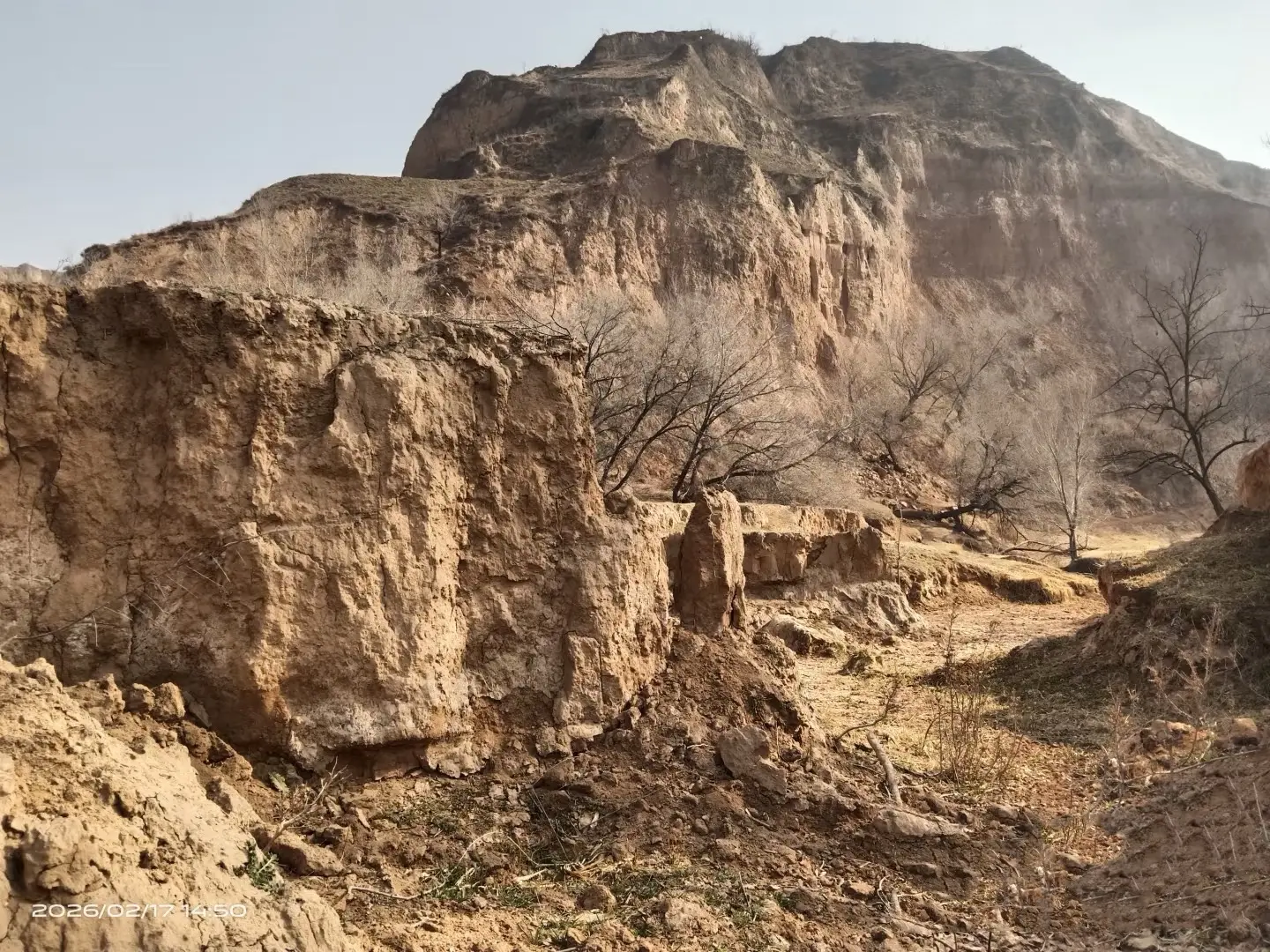 同一张照片，ai画的国画和我画的对比